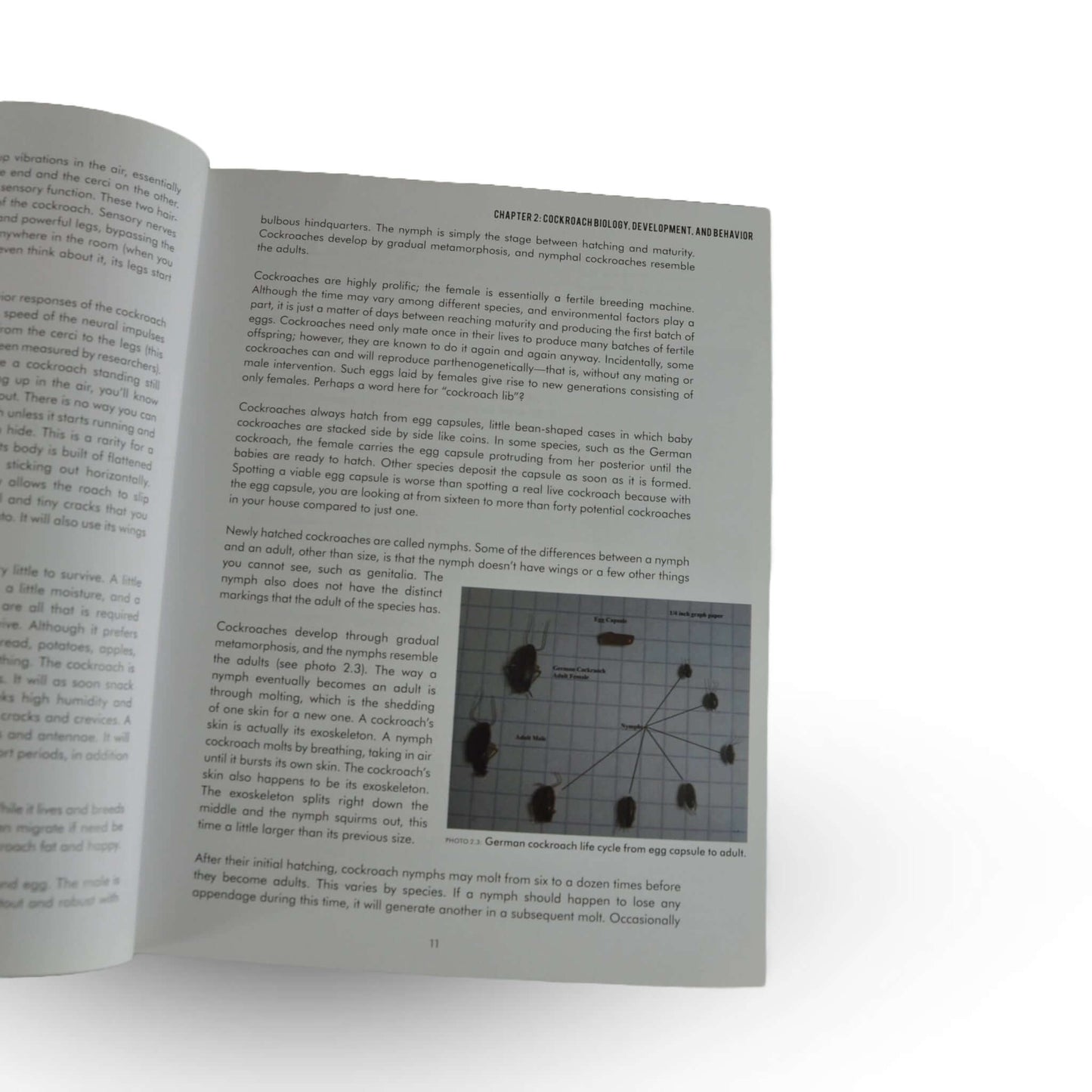 The Cockroach Combat Manual II, Livre sur les Coquerelles | L'exterminateur en ligne