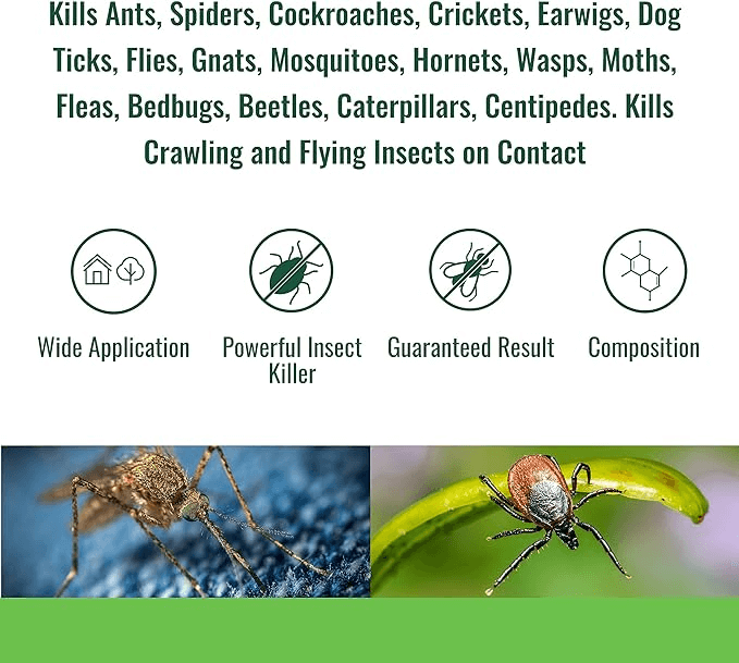ONGUARD, Pulvérisateur Total Insectes 400G | L'exterminateur en ligne