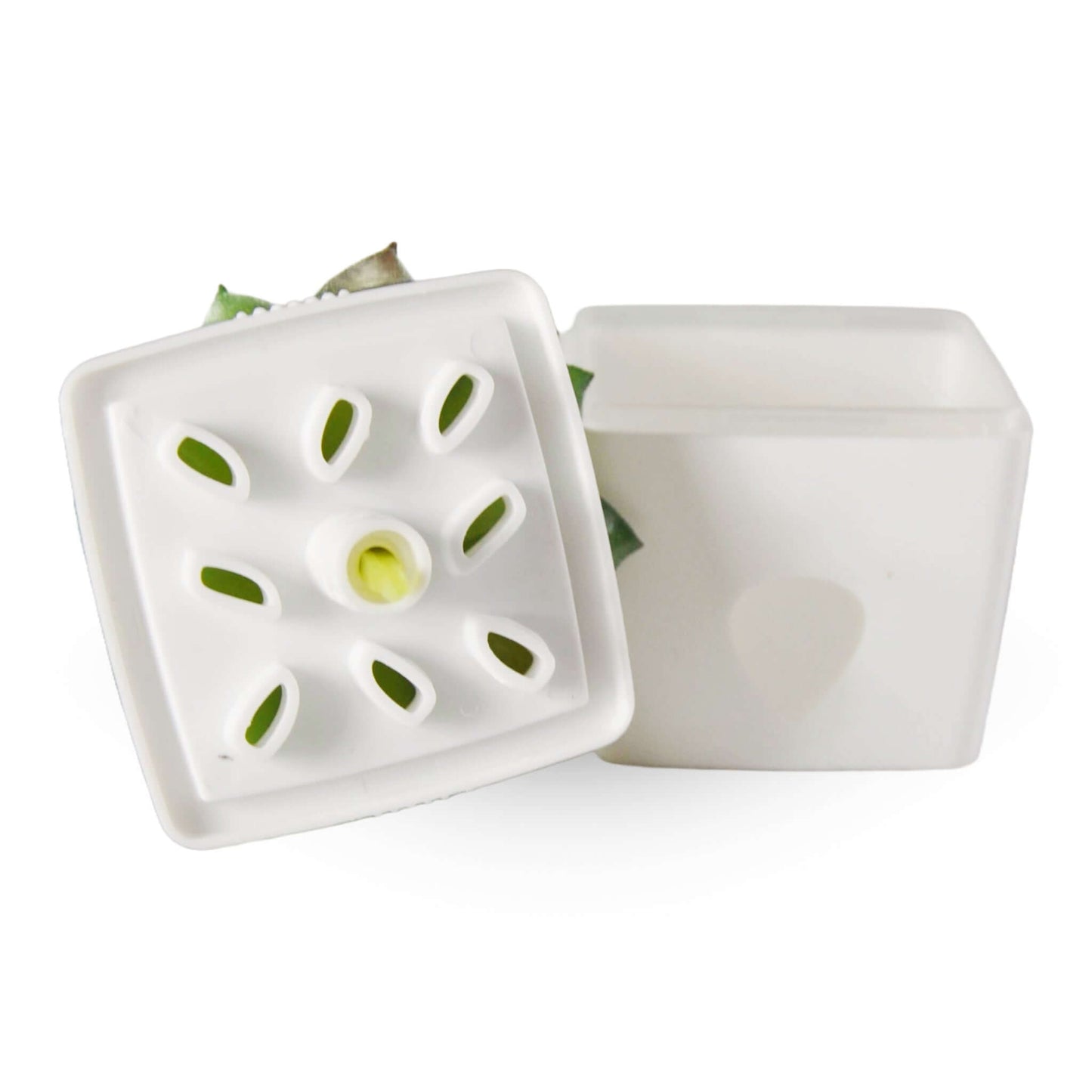 Ensemble Premium pour Mouches à Fruits | L'exterminateur en ligne