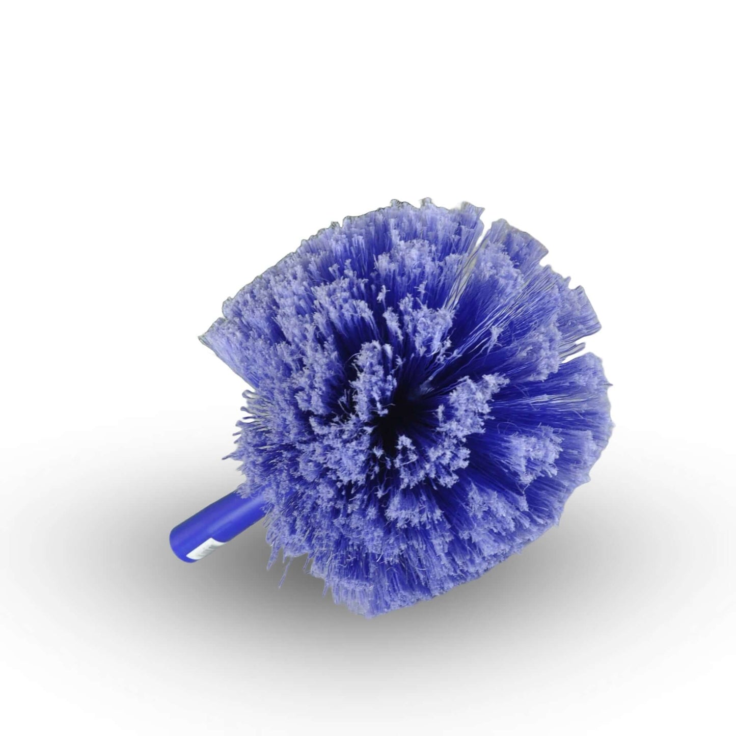 WEBSTER COBWEB, Brosse à Tête Bleu Destructeur de Nid d'Araignées | L'exterminateur en ligne