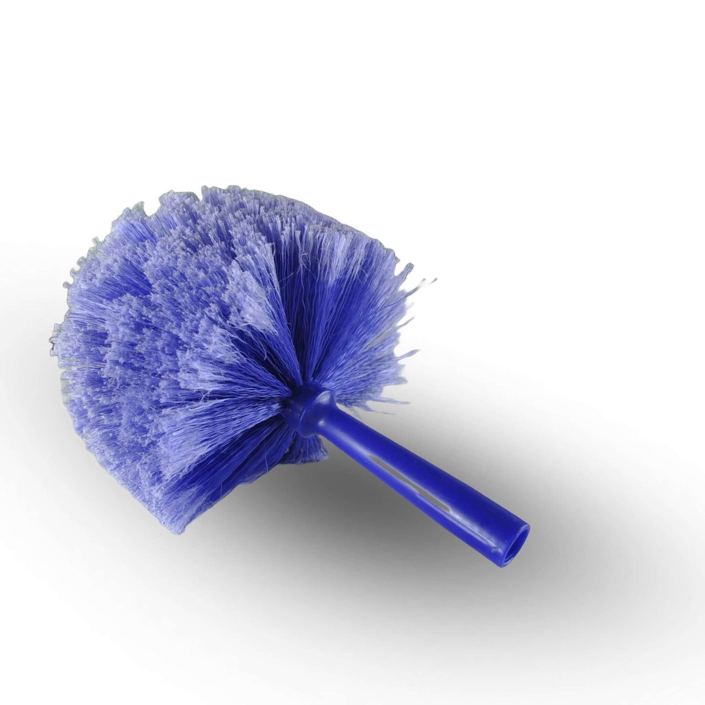 WEBSTER COBWEB, Brosse à Tête Bleu Destructeur de Nid d'Araignées | L'exterminateur en ligne