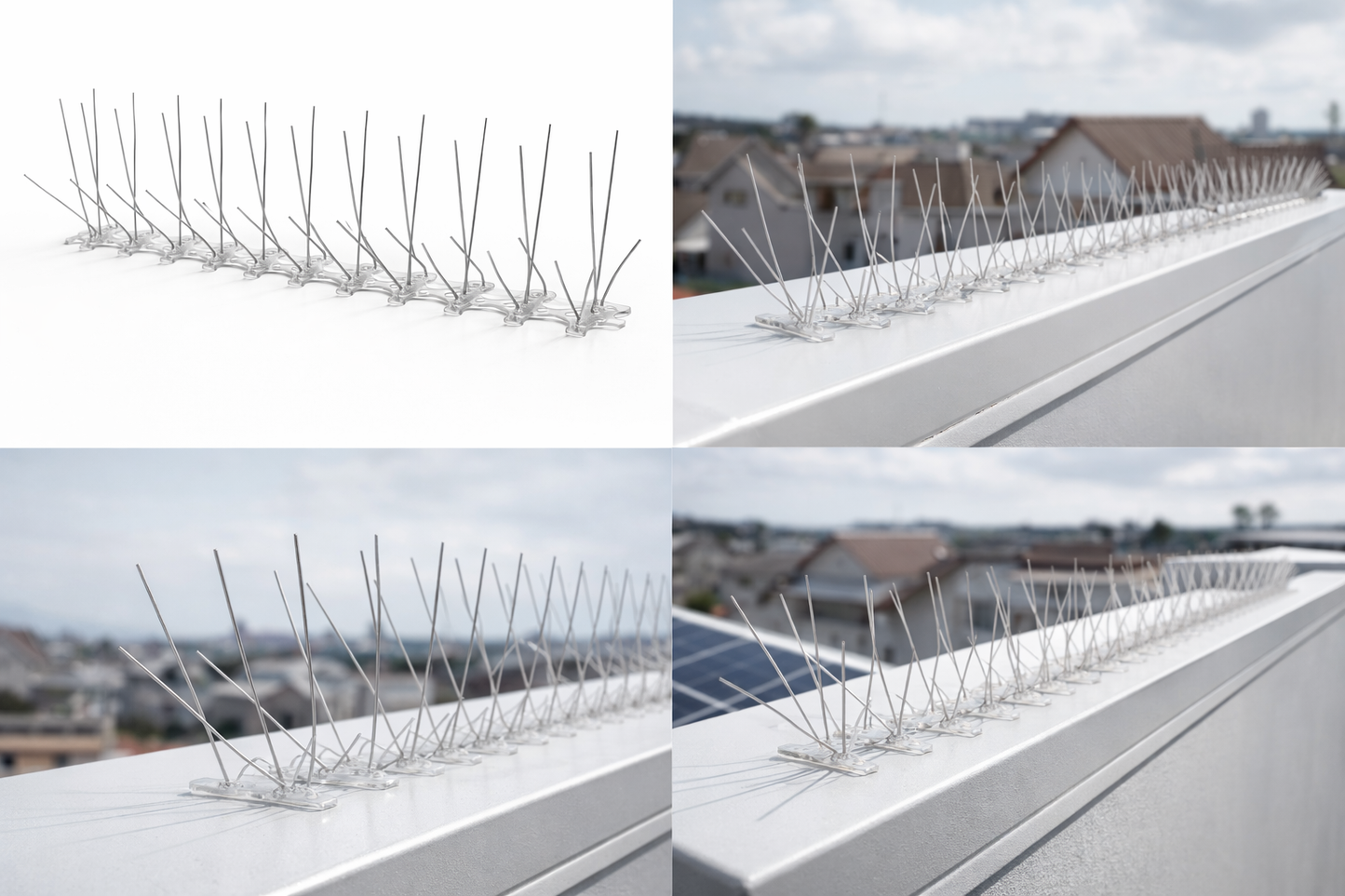 MASTERLINE, Anti-Bird Spike in Stainless Steel