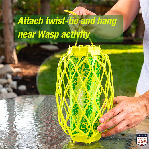Piège à guêpes RESCUE – TrapStik VisiLure® sans odeur ni pesticide, TSW-BB6-C