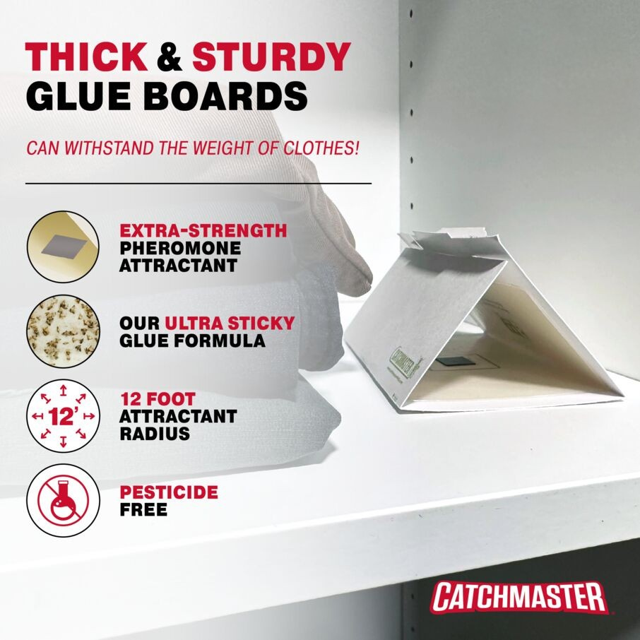 Catchmaster - Clothes Moth Traps, 2 Traps Pack