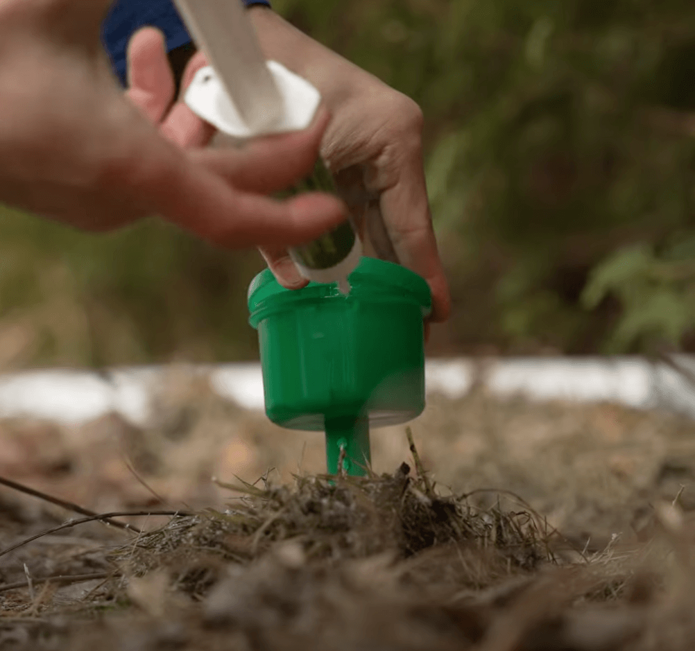 Produits antiparasitaires pour fourmis