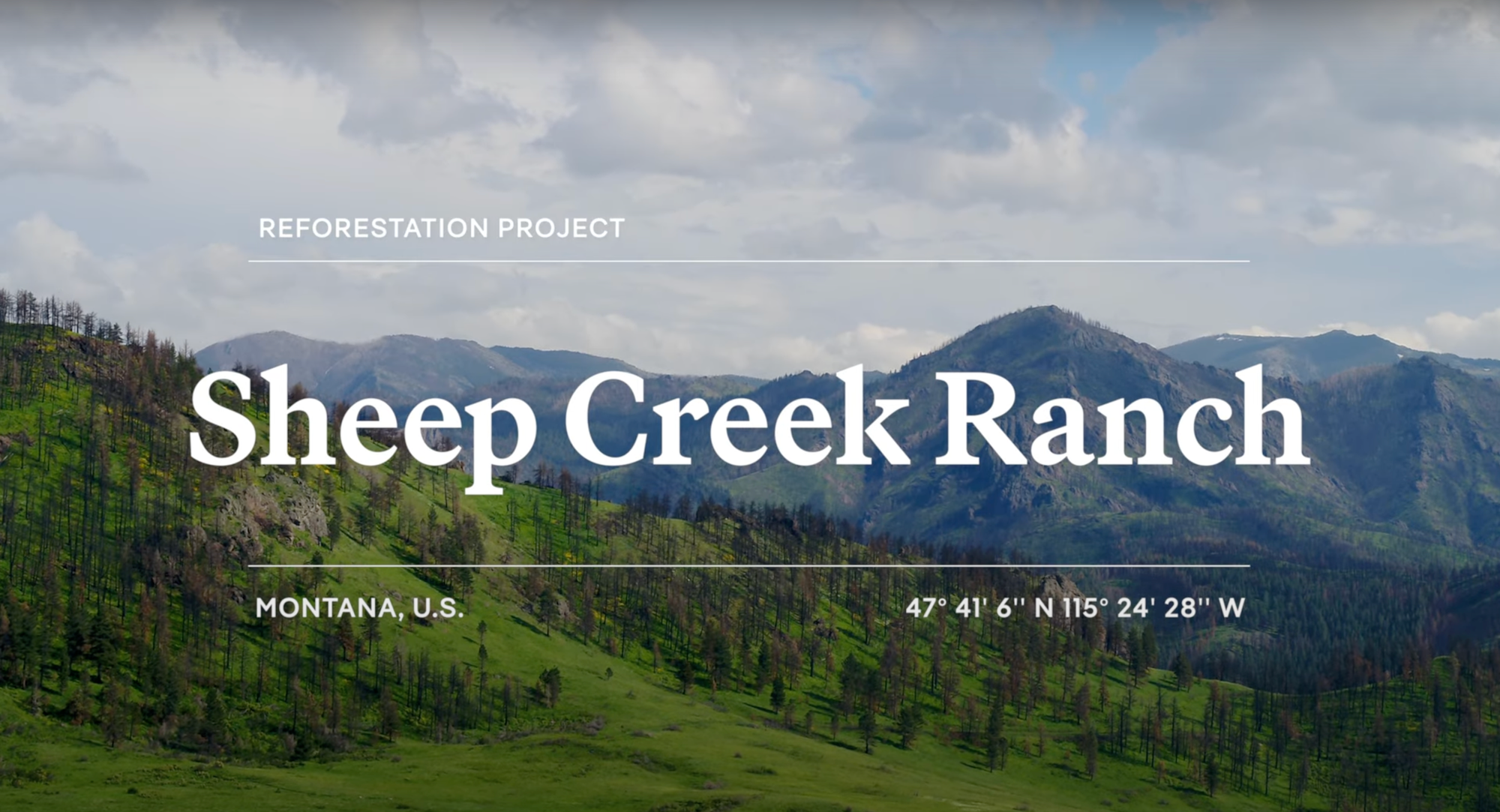 Load video: Mast Reforestation