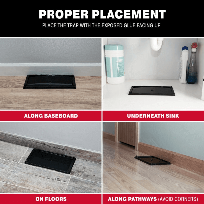 Catchmaster, Plateaux de colle à rongeurs, insectes et serpents informations, Catchmaster, Glue trays for rodents, insects and snakes information