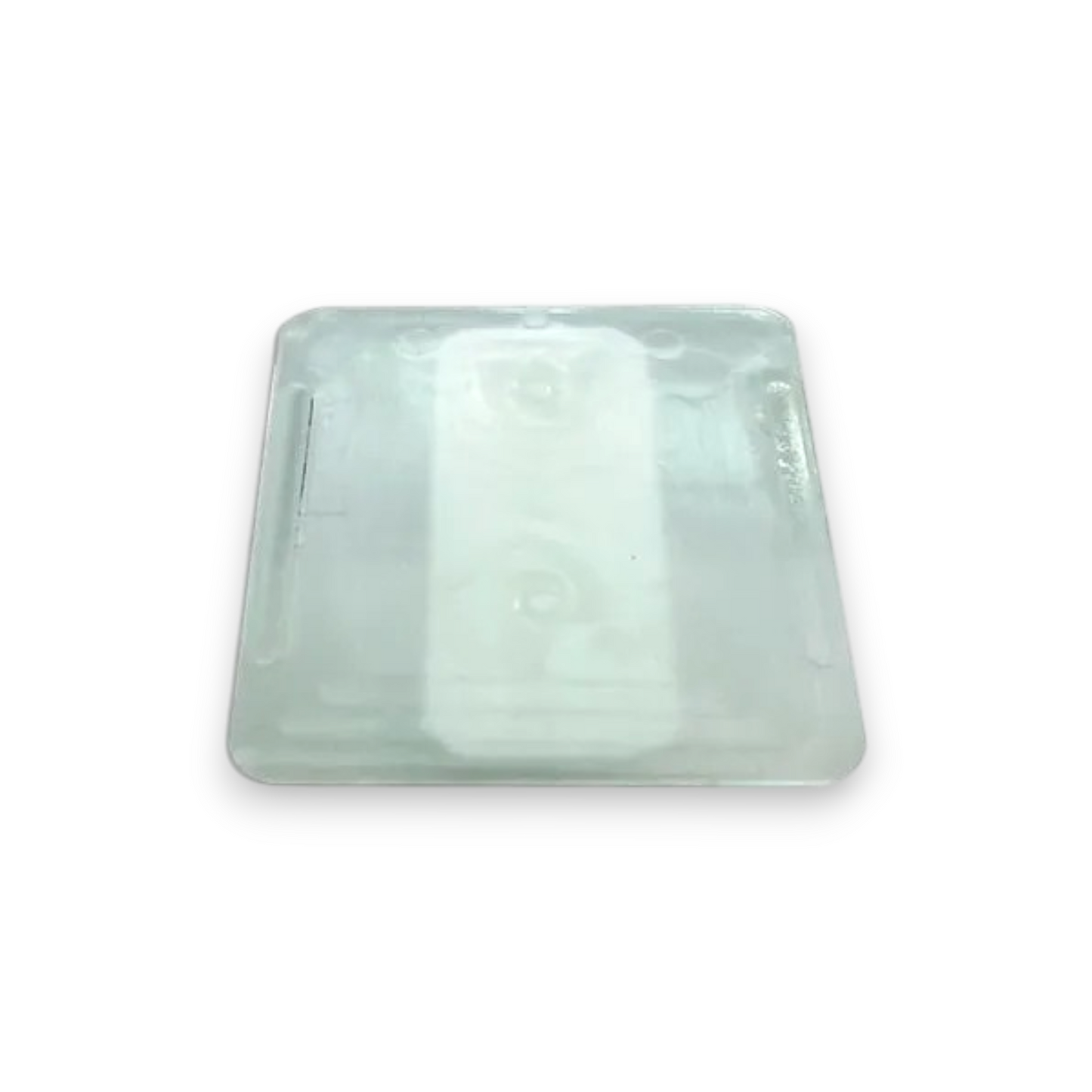 Onguard Sticky Fruit Fly Trap Adhesive Support - 12 Pack (CPDC01002)