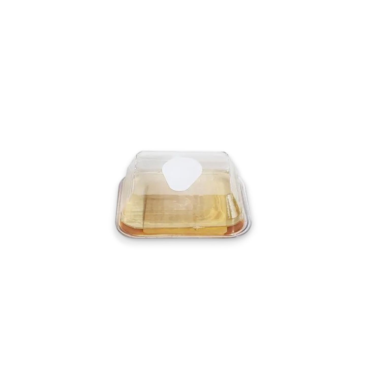 Onguard Commercial Fruit Fly Trap – Box of 12