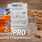 Professional kit for the treatment of carpenter ants