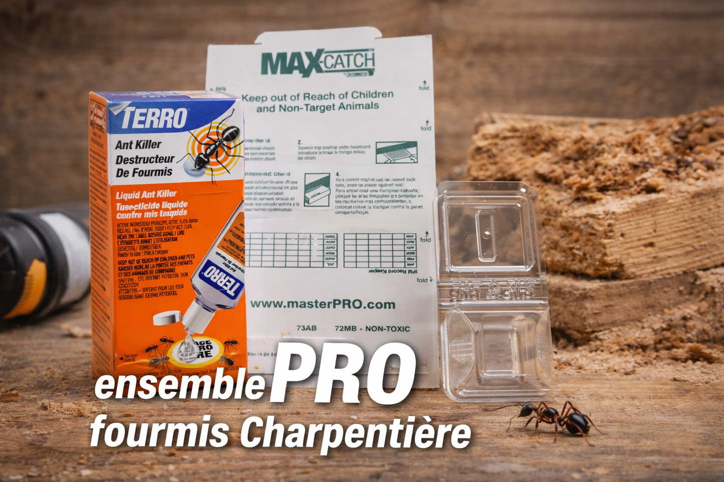 Professional kit for the treatment of carpenter ants