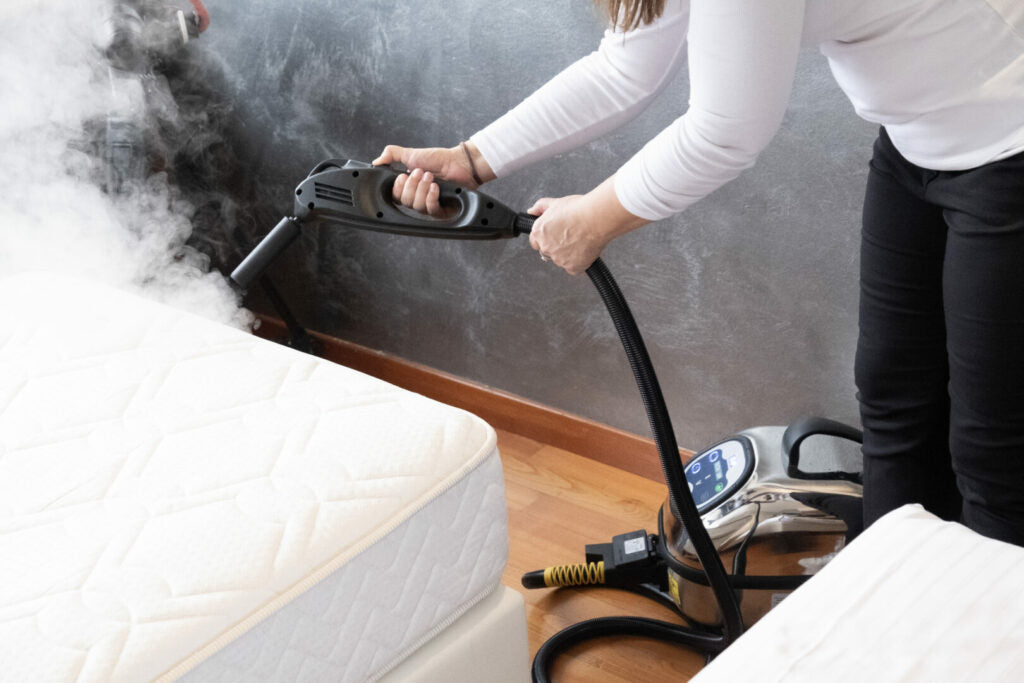 Steam-X Superheated Gun – High-temperature steam gun for bed bug elimination