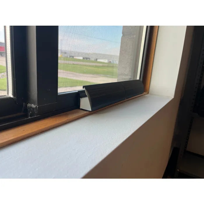 Plaques de colle de rechange pour Window Web – Paquet de 12