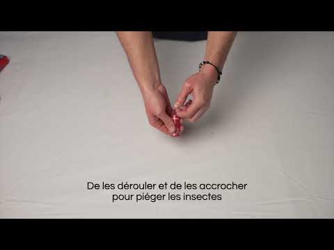 CATCHMASTER, Piège Parfumé pour Mouches Intérieur (Paquet de 4) | L'exterminateur en ligne