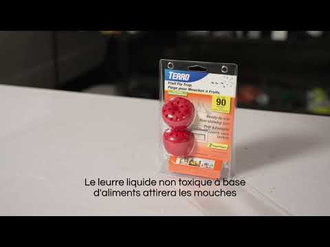TERRO, Piège pour Mouches à Fruits Intérieur | L'exterminateur en ligne