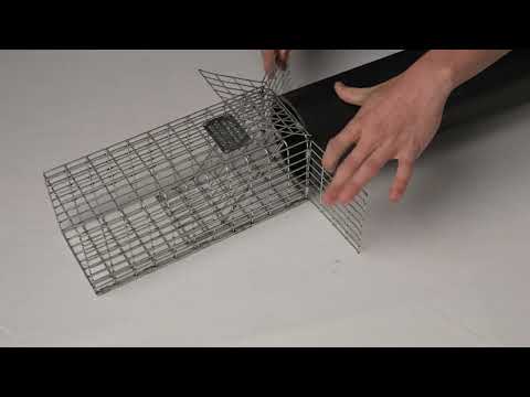 TOMAHAWK, Cage avec Porte à Sens Unique pour Gros Animaux Sauvages 14''X8''X8'' | L'exterminateur en ligne